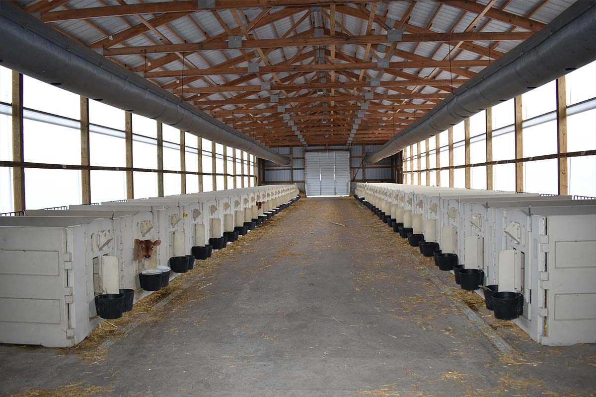 Frederic WI Owens Farms Agricultural Livestock Post Frame 005
