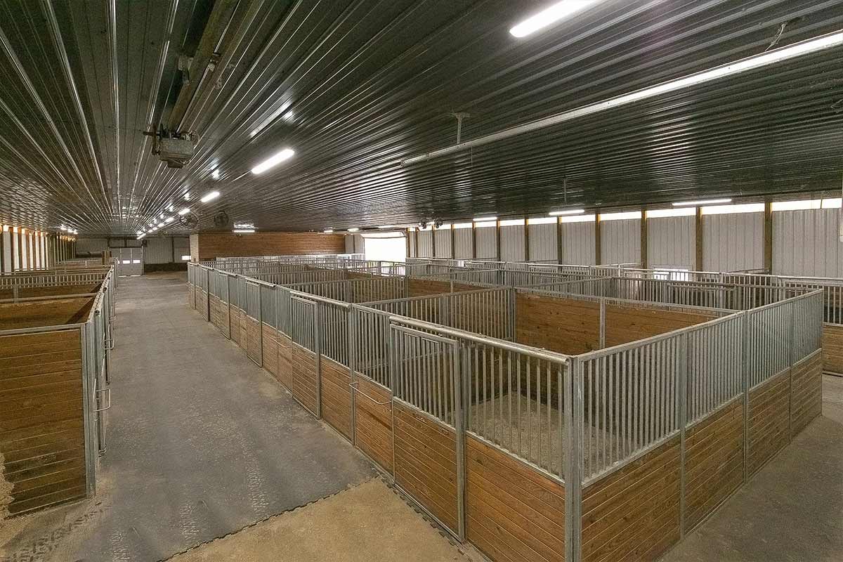 Independence MN Equestrian Riding Arena Steel Frame 04