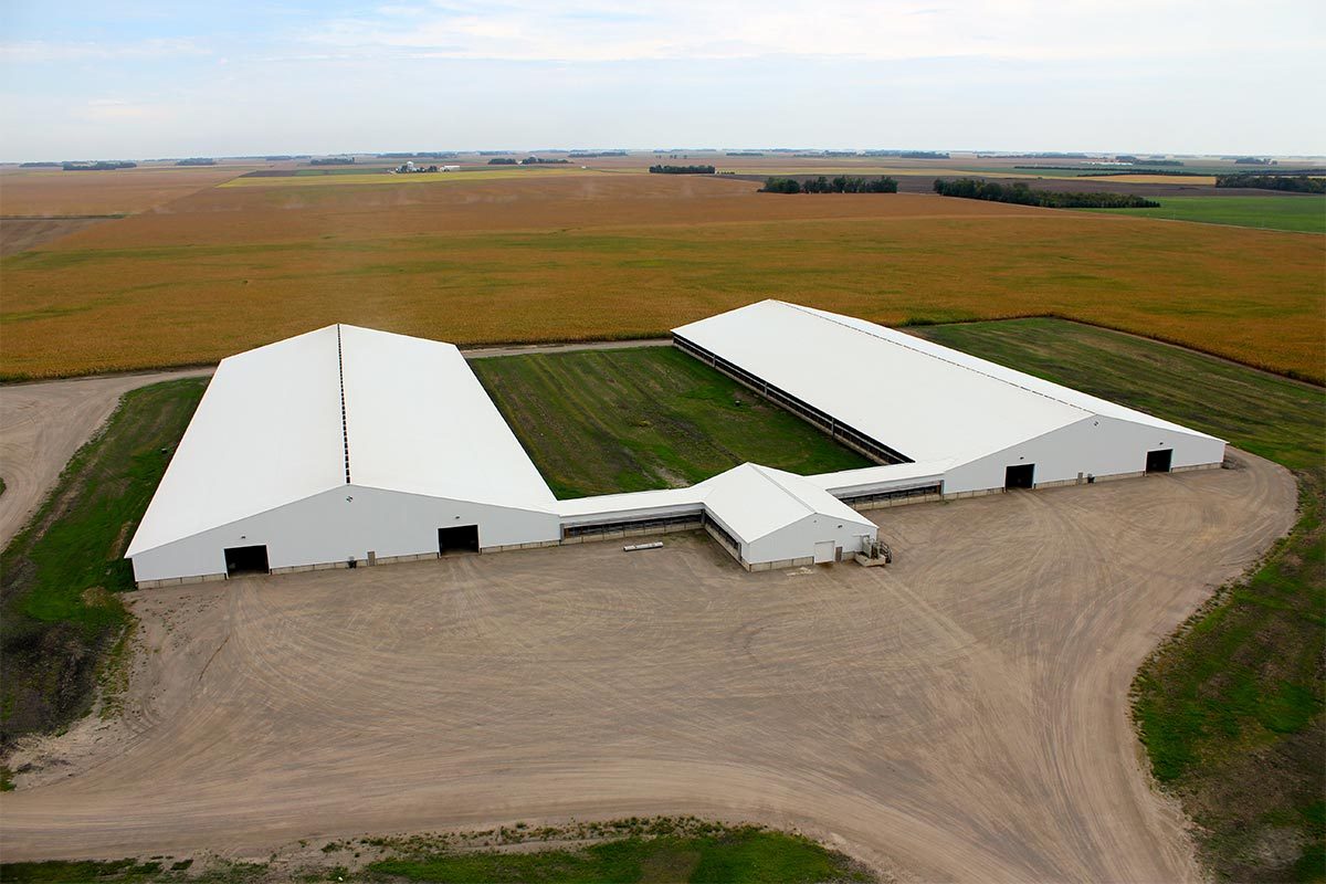 Olivia MN Revier Agricultural Cattle Barn Post Frame 001
