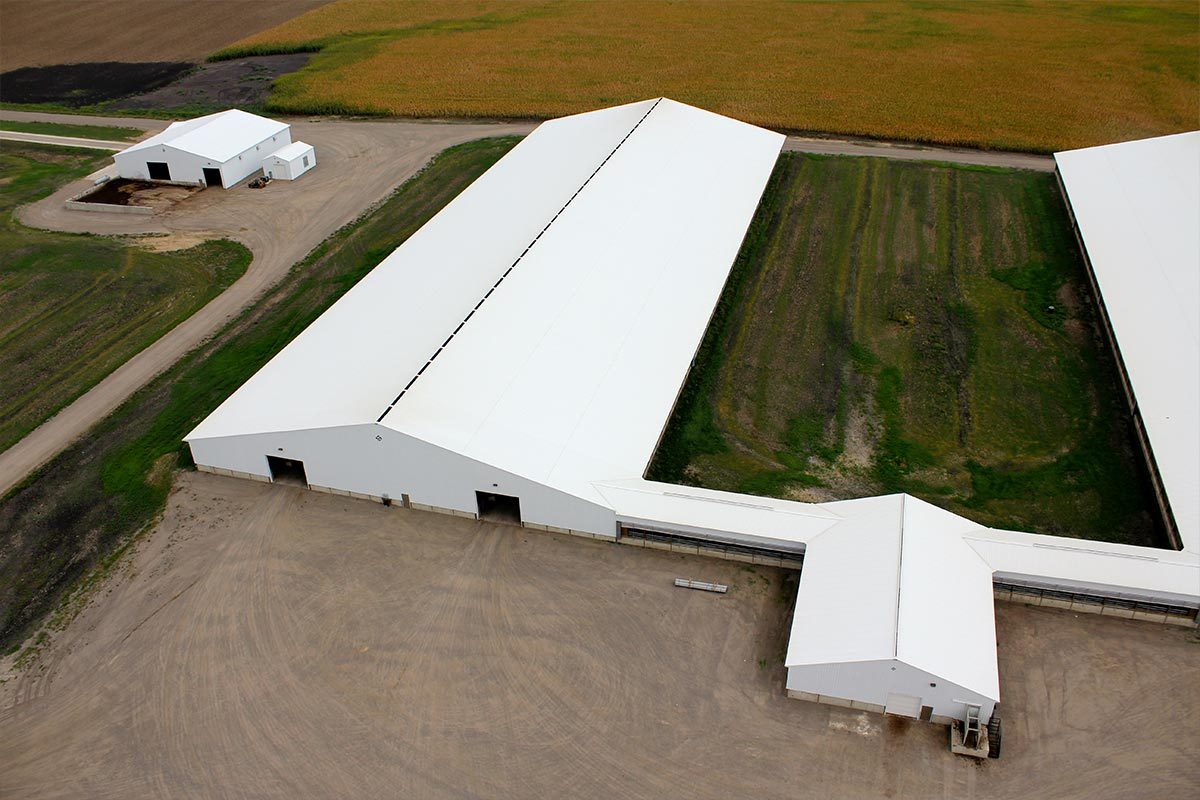 Olivia MN Revier Agricultural Cattle Barn Post Frame 003