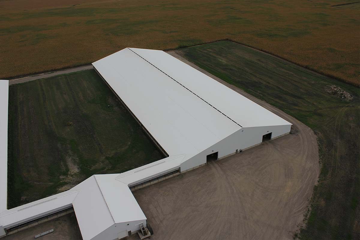 Olivia MN Revier Agricultural Cattle Barn Post Frame 004