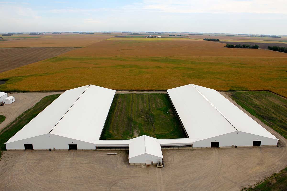 Olivia MN Revier Agricultural Livestock Facilities Post Frame